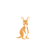 Humour petit kangourou