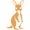 kangaroo