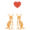 Humour petit kangourou