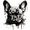 CHIEN BOULEDOGUE FRANÇAIS