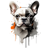 CUTE FRENCH BULLDOG