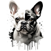CHIEN BOULEDOGUE FRANÇAIS