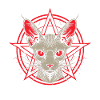 Sphynx Cat Gift