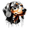 SHORTHAIR DACHSHUND CUTE DACHSHUND