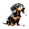 CUTE SHORT-HAIRED DACHSHUND DACHSHUND