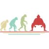 Évolution du sumo