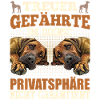 Rhodesian Ridgeback LOYAL COMPANION Ridgebacks