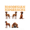Rhodesian Ridgeback TRAININGSPLAN Eigensinniger