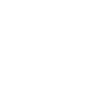 2006