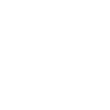 Année 1993