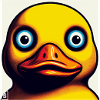 Duck Stare