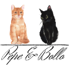 Pepe & Bollo Merch