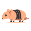 Armadillo