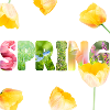 Spring Weißer Hintergrund