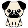 Pug