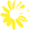Daisies Summer Spring