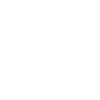 Daisies Spring Summer