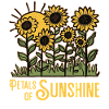 Sunflowers Petals of Sunshine