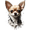 DOG CUTE CHIHUAHUA