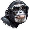 Chimpanzee Head Glasses
