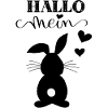 Hello my bunny