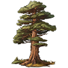 Pine