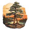 Pine tree at dusk