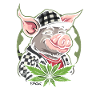 Checkered Cannabis Weed Pig