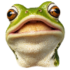 Lächelnder Frosch