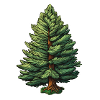 Fir Single Tree