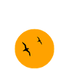 Sail