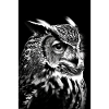 Hibou
