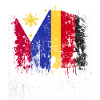 Philippines Germany Flag