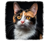 Calico Cat Lucky Cat