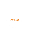 Humour cassoulet