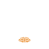 Humour cassoulet