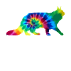 Chat Maine Coon Tie Dye