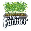 Microgreen Agriculture Gardening