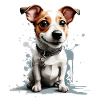 DOG JACK RUSSEL TERRIER