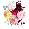 Spring Blooms