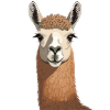 Lama