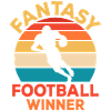 Fantasy Football Winner