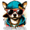 Cool Chihuahua Hund Solglasögon Gåva