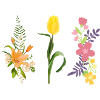Spring Prints