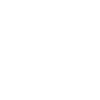 Cricket Batsman Batter