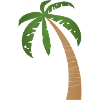 Palme