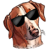 Funny Dog SAVEBRACKE Hunting Dog Sunglasses