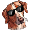 Hunting Dog with Cool Sunglasses - Dog Bones