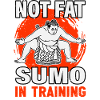Kein fettes Sumo im Training