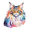 Aquarelles Maine Coon